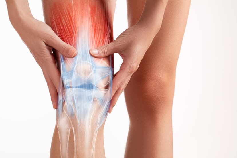 Biomechanics Visualizer