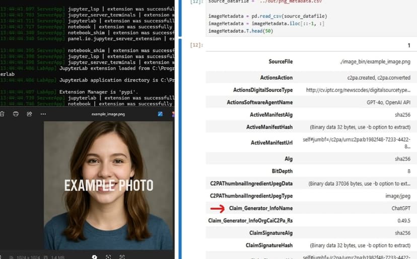Metadata Extraction Example